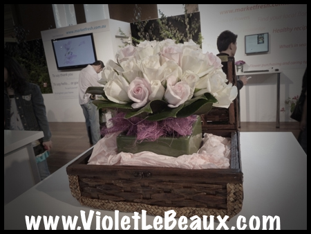 VioletLeBeauxP1040549_909 copy